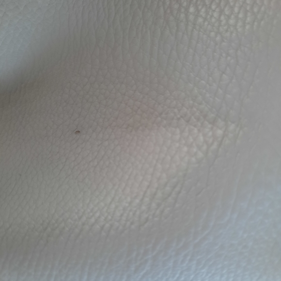 Tote Bag/ Purse - Picture 6 of 12